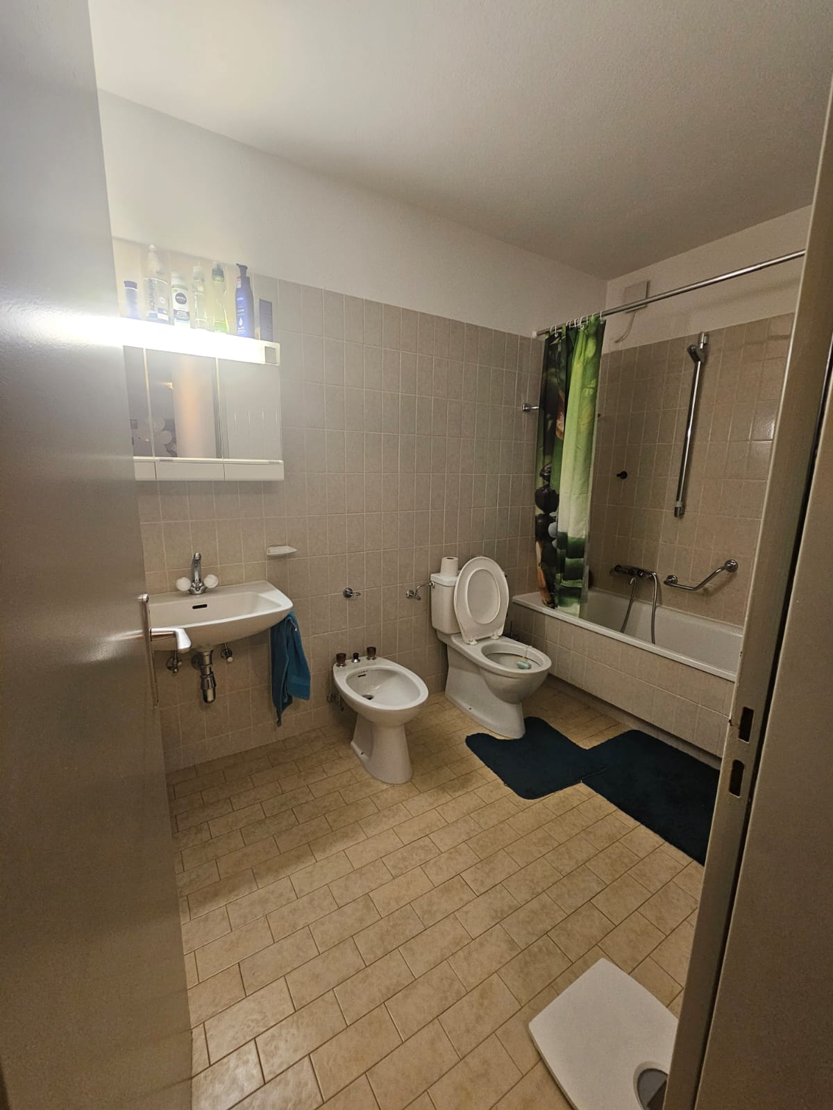 Via Cantonale 168, Grono, Grigioni 6537, 2 Stanze da Letto Stanze da Letto, ,1 BagnoBathrooms,Appartamento,In affitto,Via Cantonale 168,1007