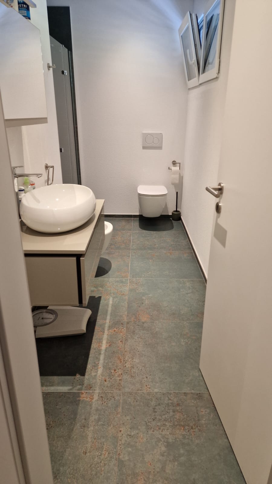 Grigioni, 3 Stanze da Letto Stanze da Letto, 0 ,3 BathroomsBathrooms,Casa unifamiliare,In affitto,0,1013